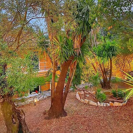 Silent Bay Apartament Katávolos